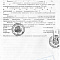 Картинка Защита виновной стороны при причинении вреда здоровью в ДТП